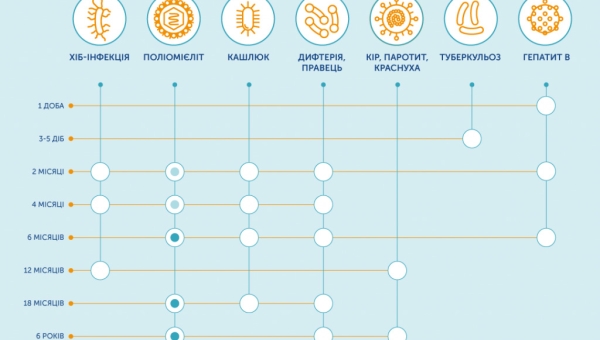 Календар вакцинацій